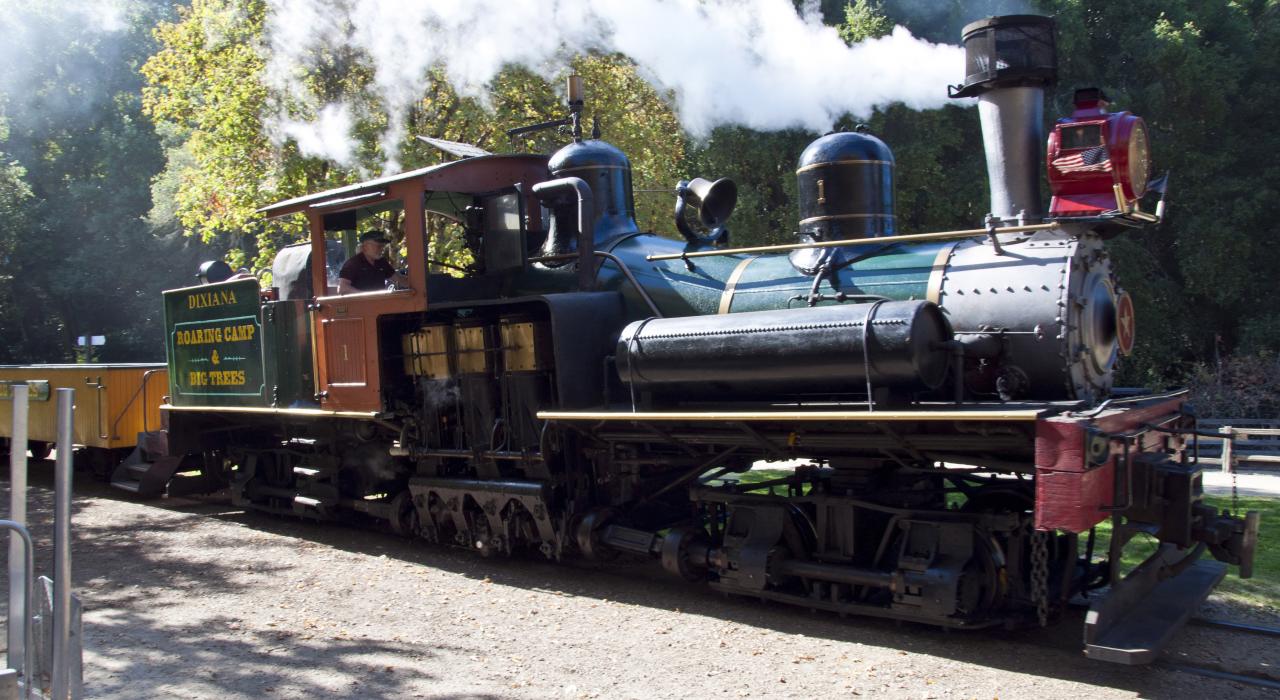 Steam train at Roaring Camp Railroads