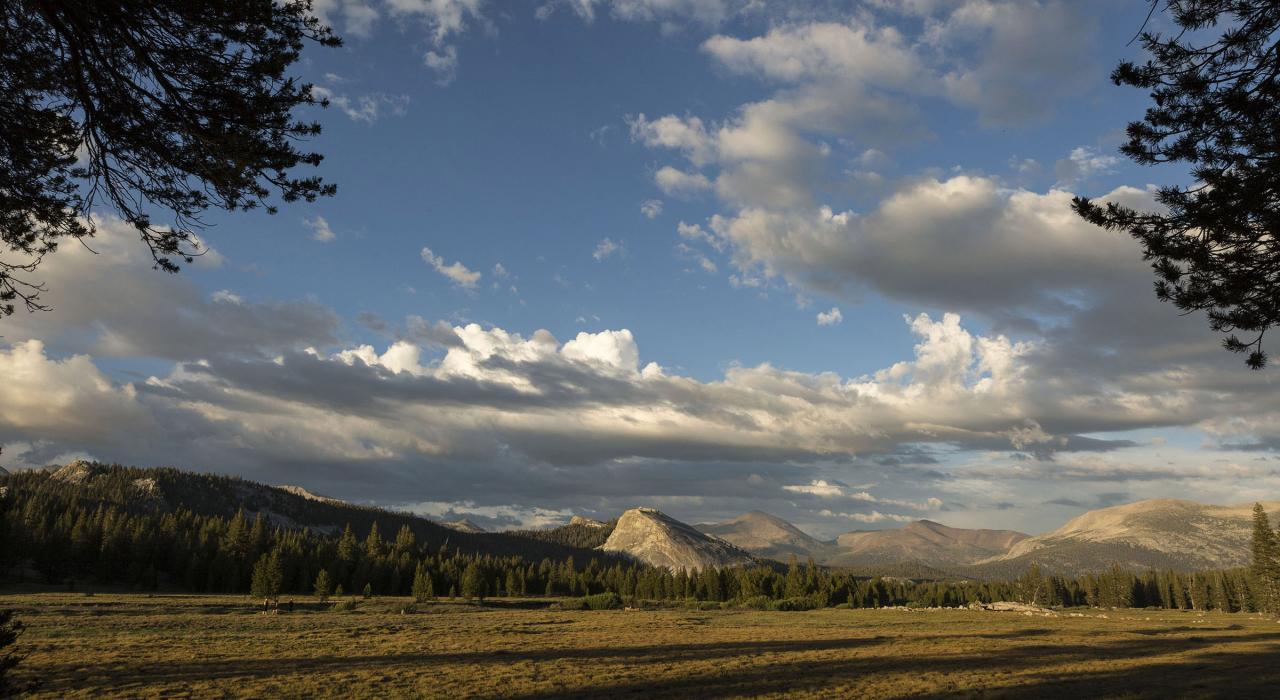 Unspoiled meadows in Yosemite National Park 
