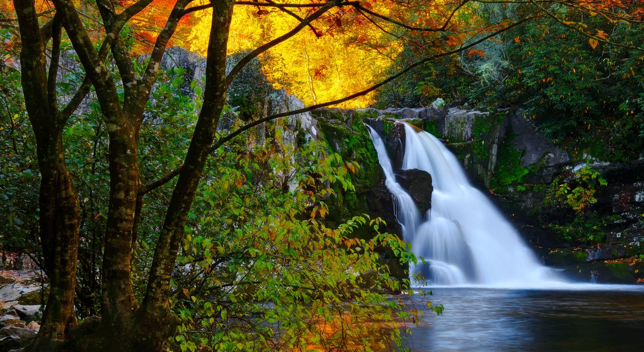 大烟山国家公园