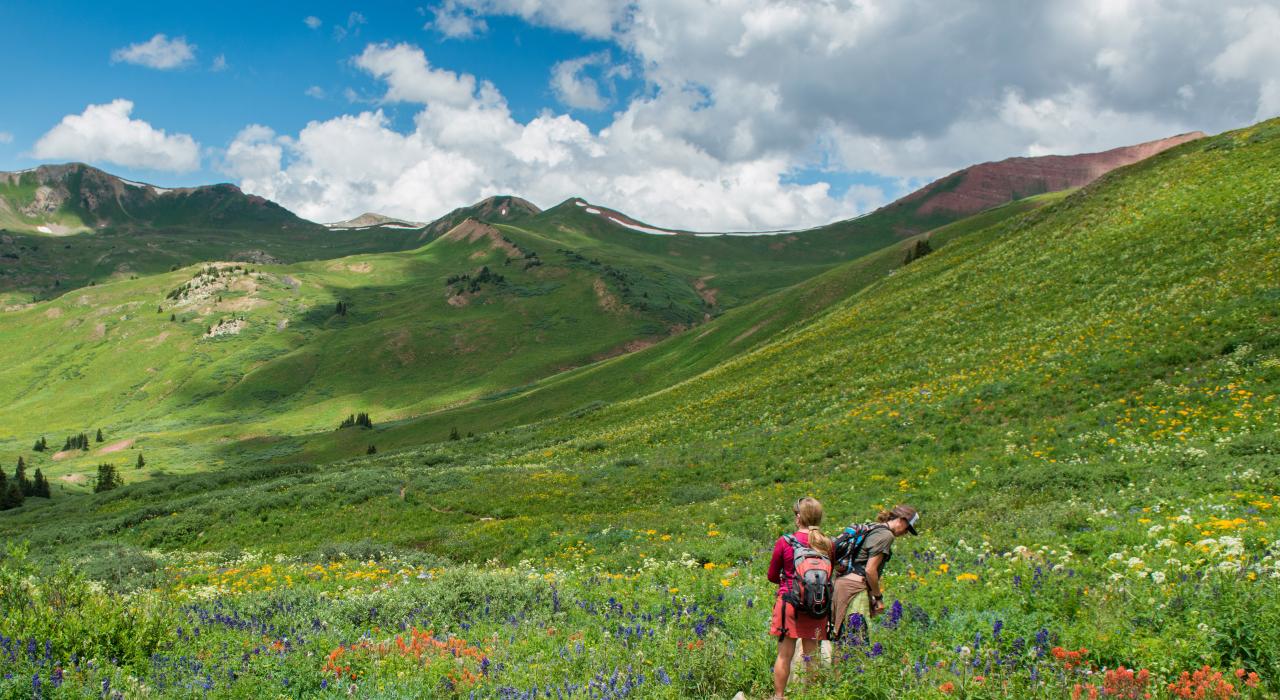 徒步穿越漫地野花的西褐铃峰山口环线