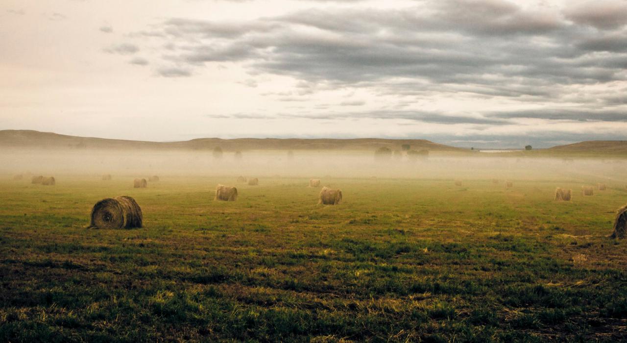 A foggy morning in a field dotted with hay bales