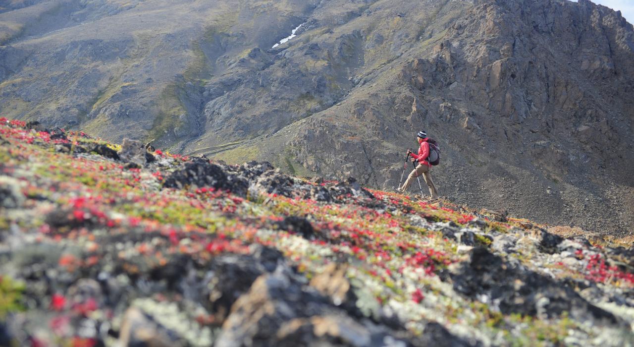 徒步旅行者探索楚加奇国家森林的自然风景