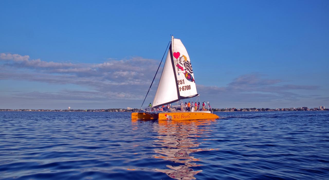 乘坐 Wild Hearts 号双体帆船沿着海岸航行