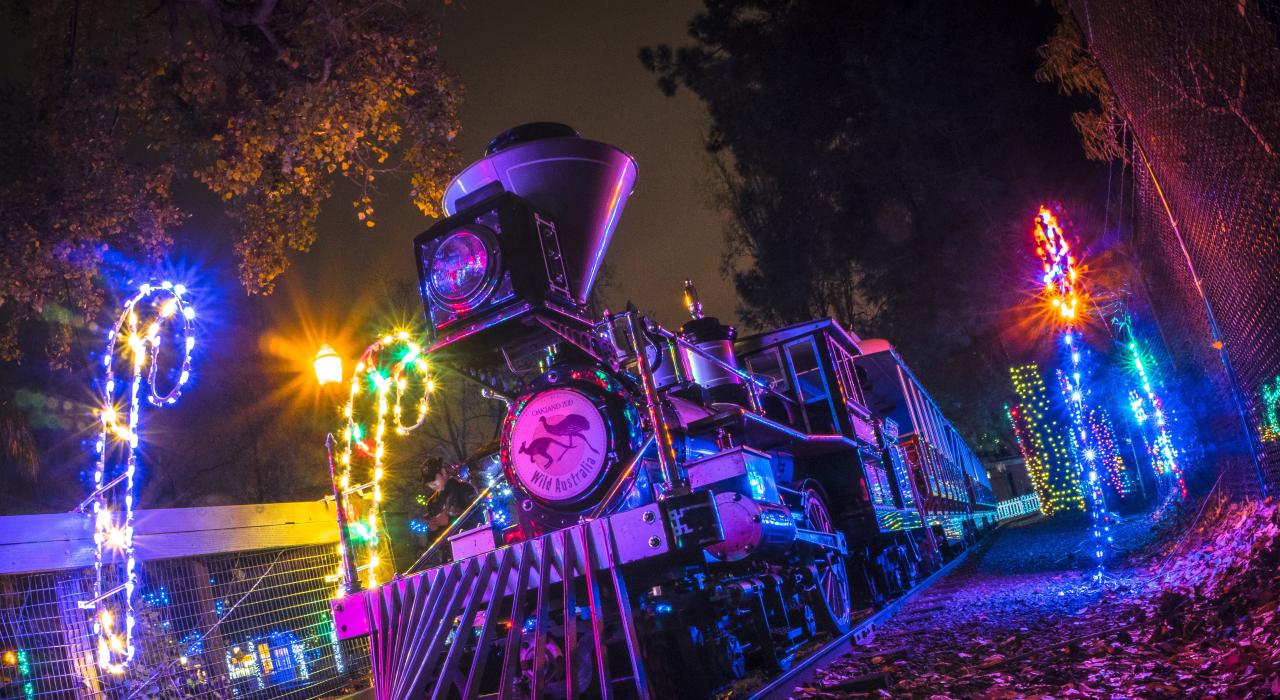 Neon lights illuminate the Outback Express train at Oakland Zoo