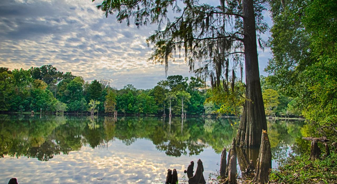 LeFleurs Bluff 州立公园夕景