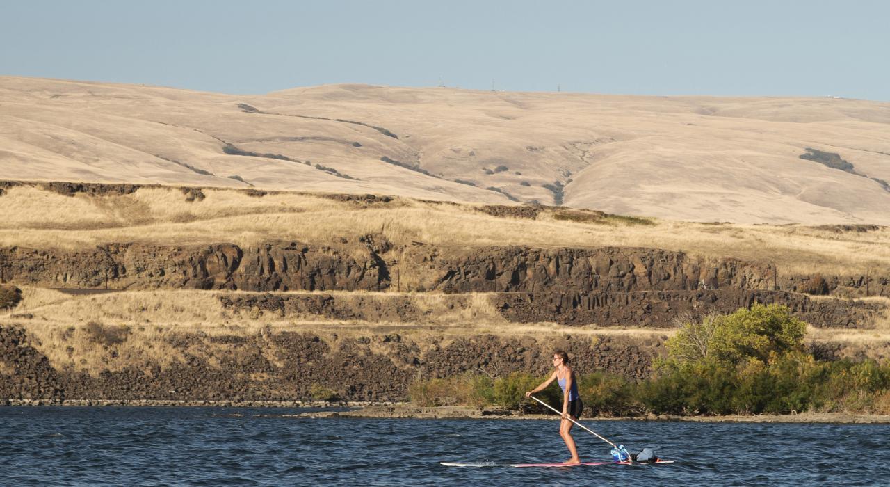在哥伦比亚河中桨板冲浪