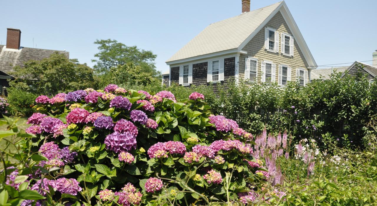 普罗文斯敦商业街旁的美丽花园