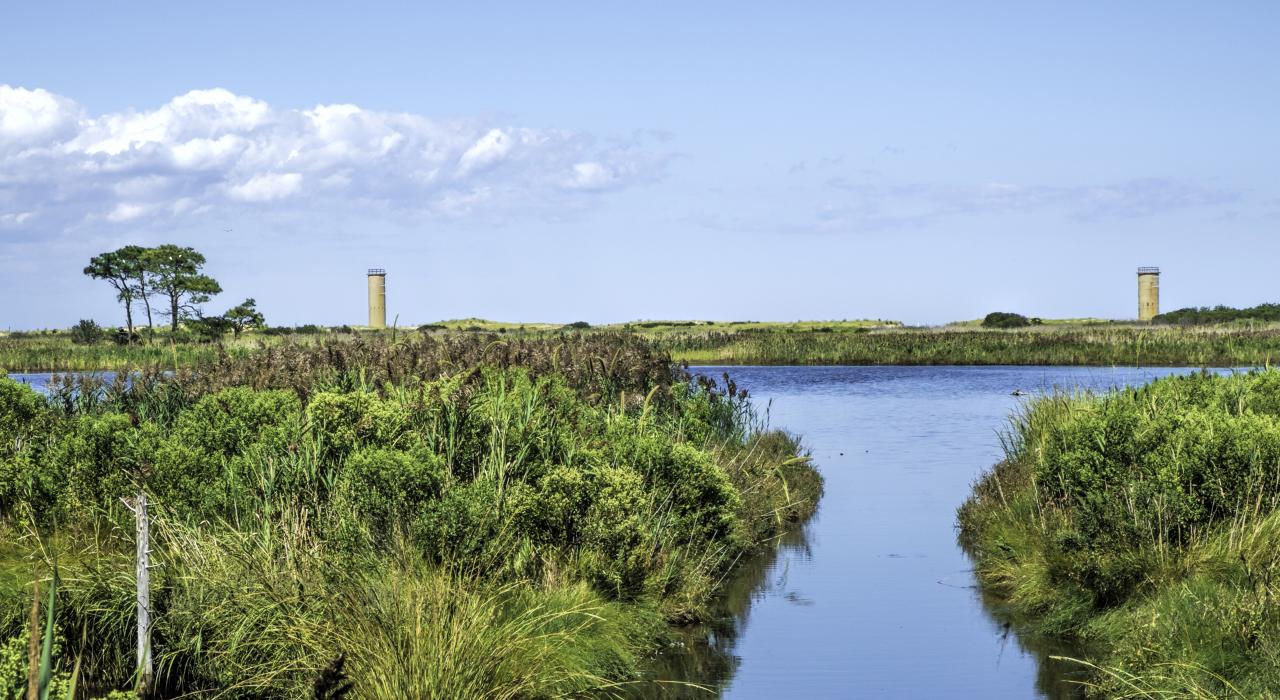 蜿蜒穿过戈登湖野生动物保护区的小径两旁宁静的环境
