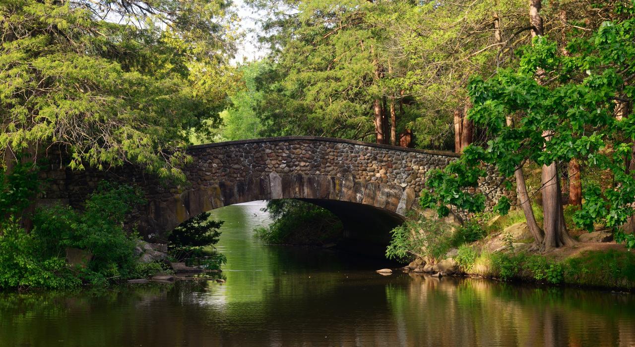 位于 1897 年开放的伊丽莎白公园内的石桥