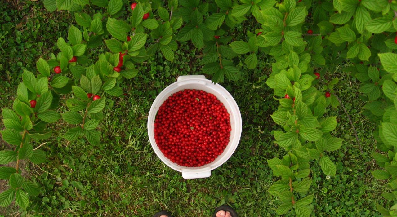 附近乡村的一处农场恰逢大丰收