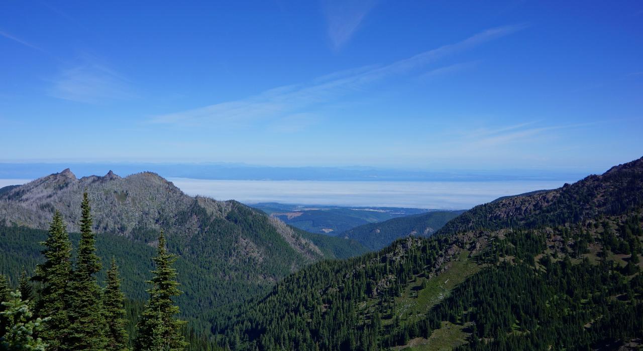 奥林匹亚山上郁郁葱葱的森林