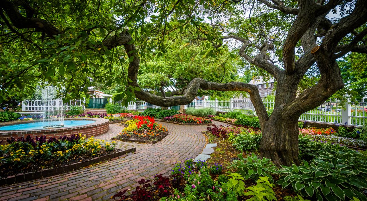 绿树成荫的普雷斯科特公园中宁静闲适的一角