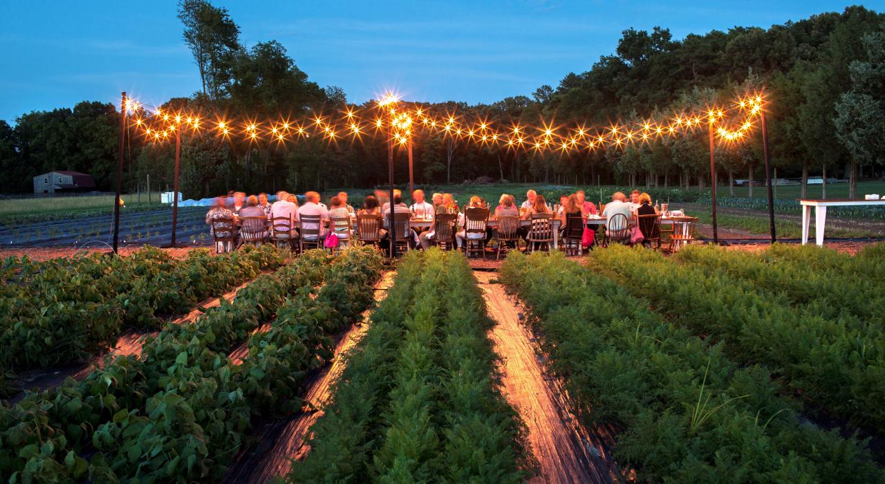 在 Victory Farms 农场的田间地头享用户外晚餐