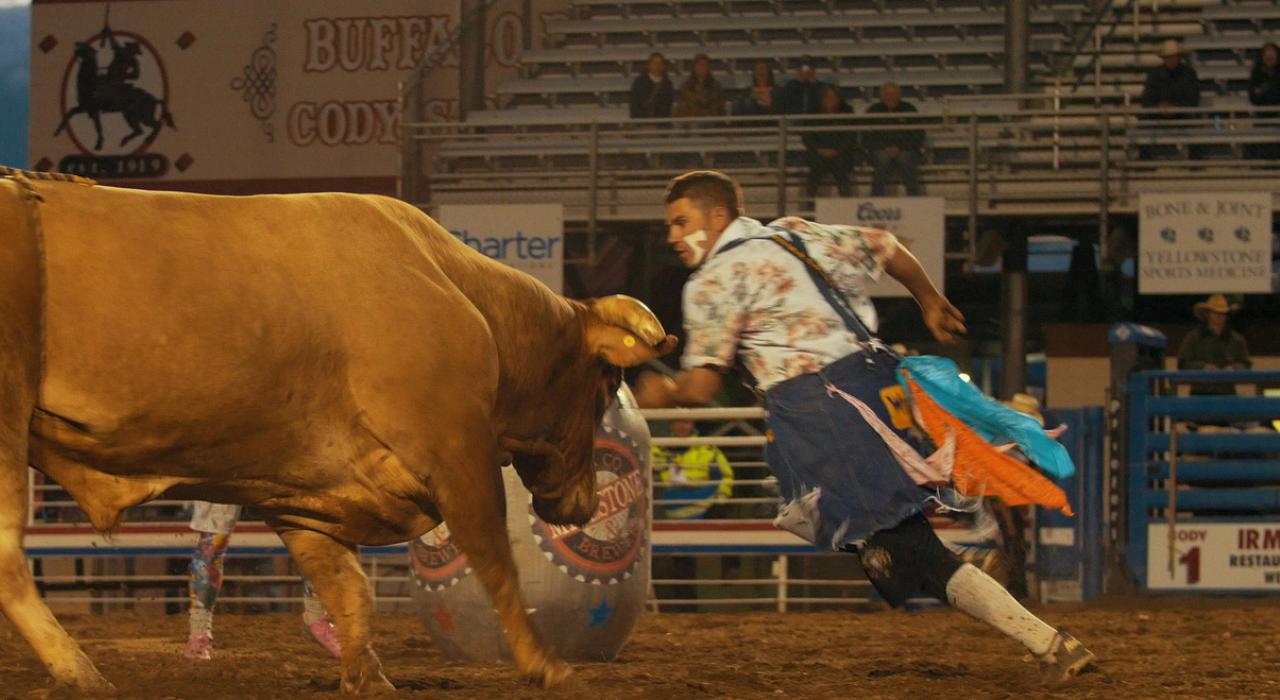 Cody Nite Rodeo 竞技表演场内正在紧张对抗的斗牛小丑和公牛