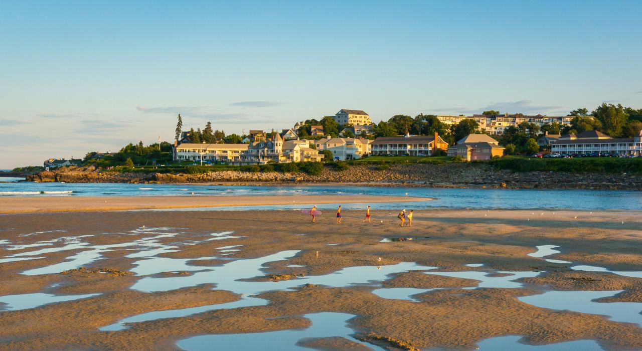 退潮时的滩涂探险