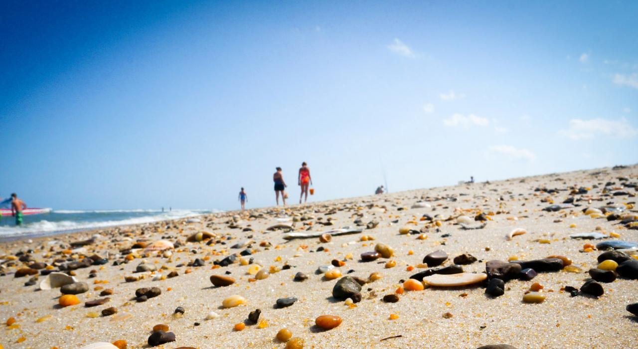 漫步在绵延的海滩上寻找美丽的贝壳和石子