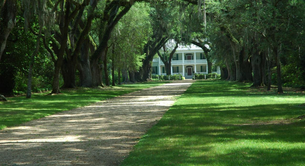 通往路易斯安那州圣弗朗西斯维尔种植园的优美小径