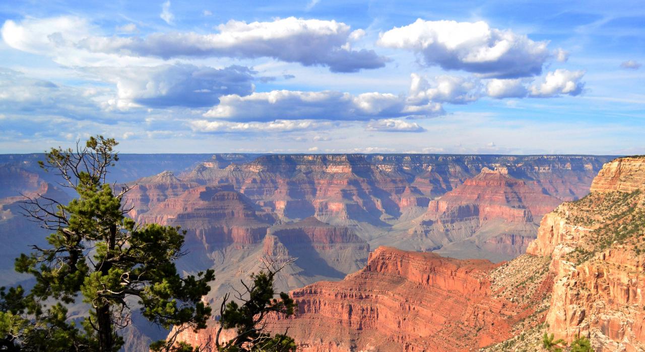俯瞰广袤无垠的大峡谷