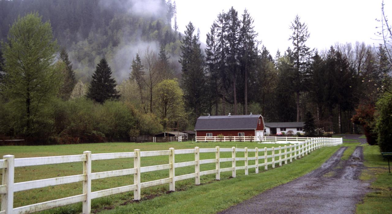 尤金附近农场的黎明晨雾