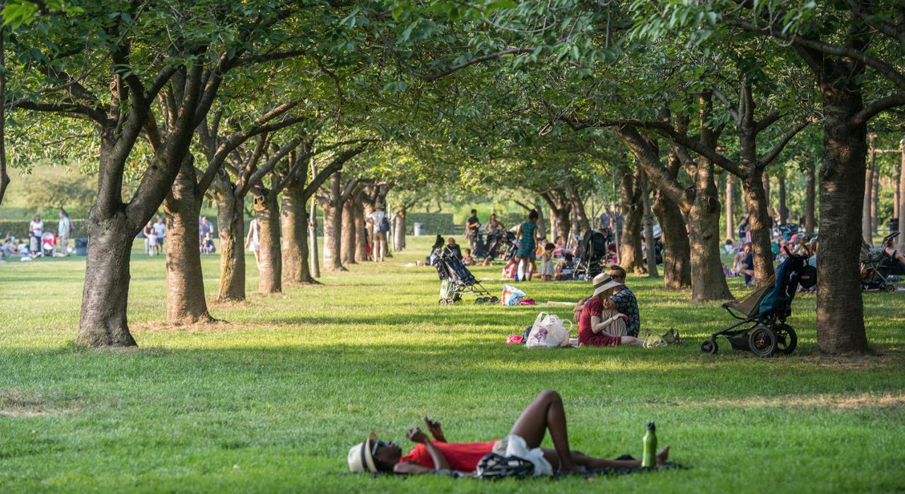 在布鲁克林植物园的树荫下休息