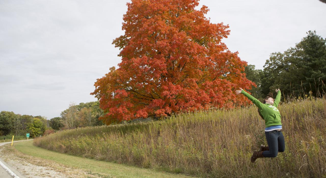 Beautiful autumn leaves at Starved Rock State Park in Oglesby, Illinois