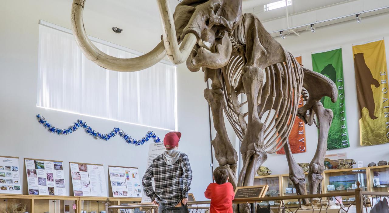 In awe of a towering Mammoth at the Fossil Discovery Center