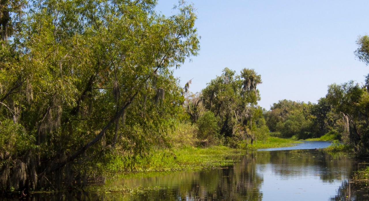 拉富什河口蜿蜒流淌的河水