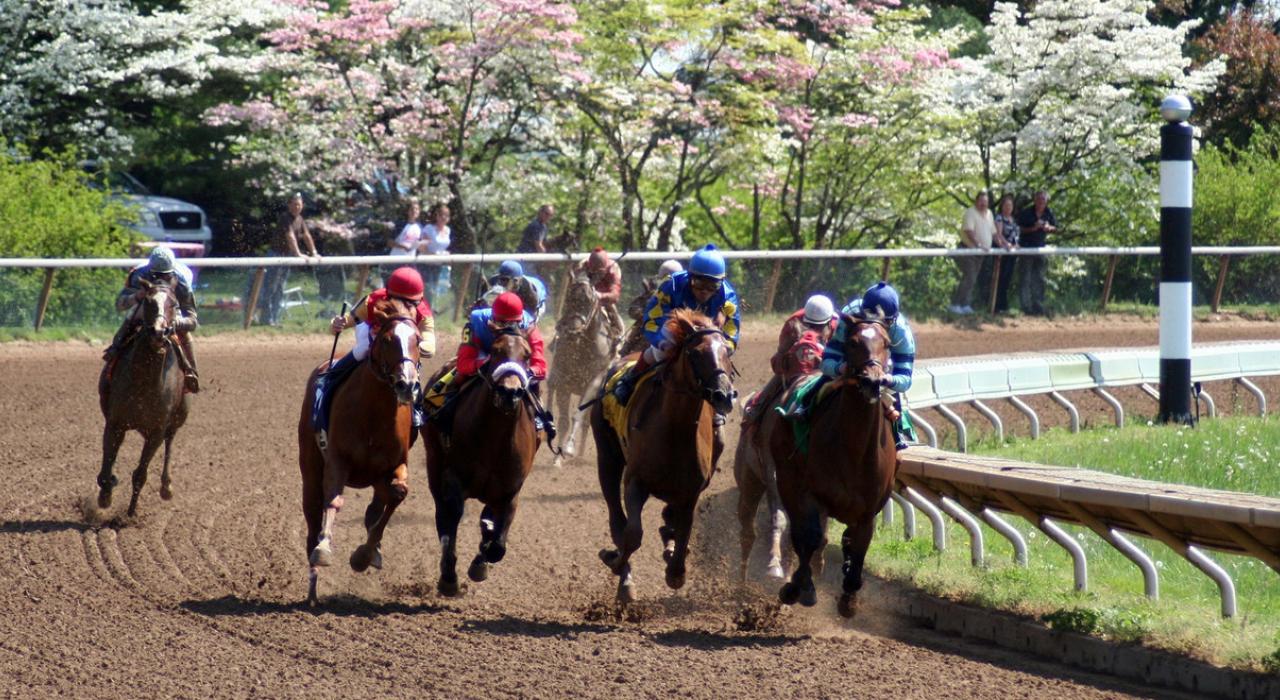 肯塔基州基恩兰赛马场的一场赛马比赛中，纯种马向终点线飞奔而去
