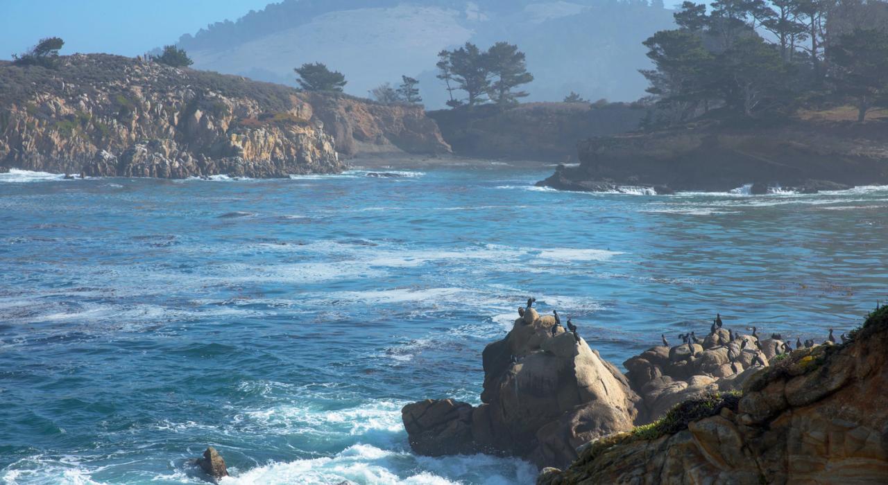 罗伯斯角州立自然保护区的草甸、崎岖海岸线和水下栖息地