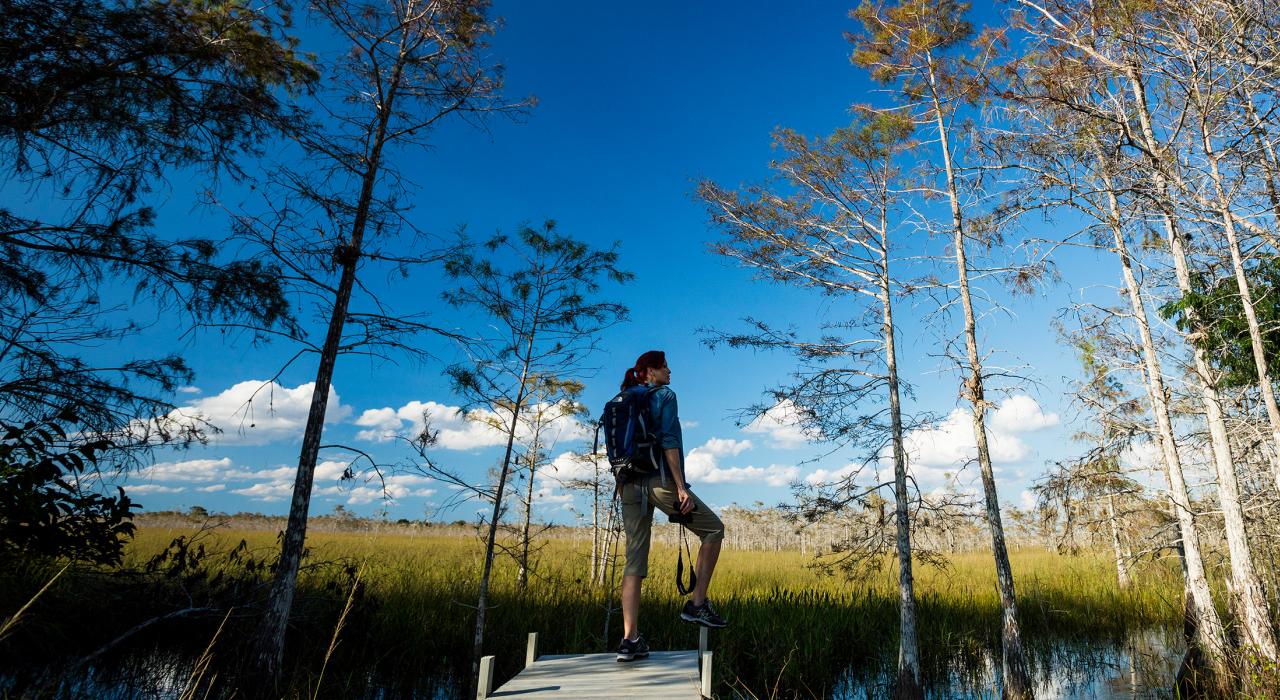 在大沼泽地的独特水景中，欣赏倒映景观