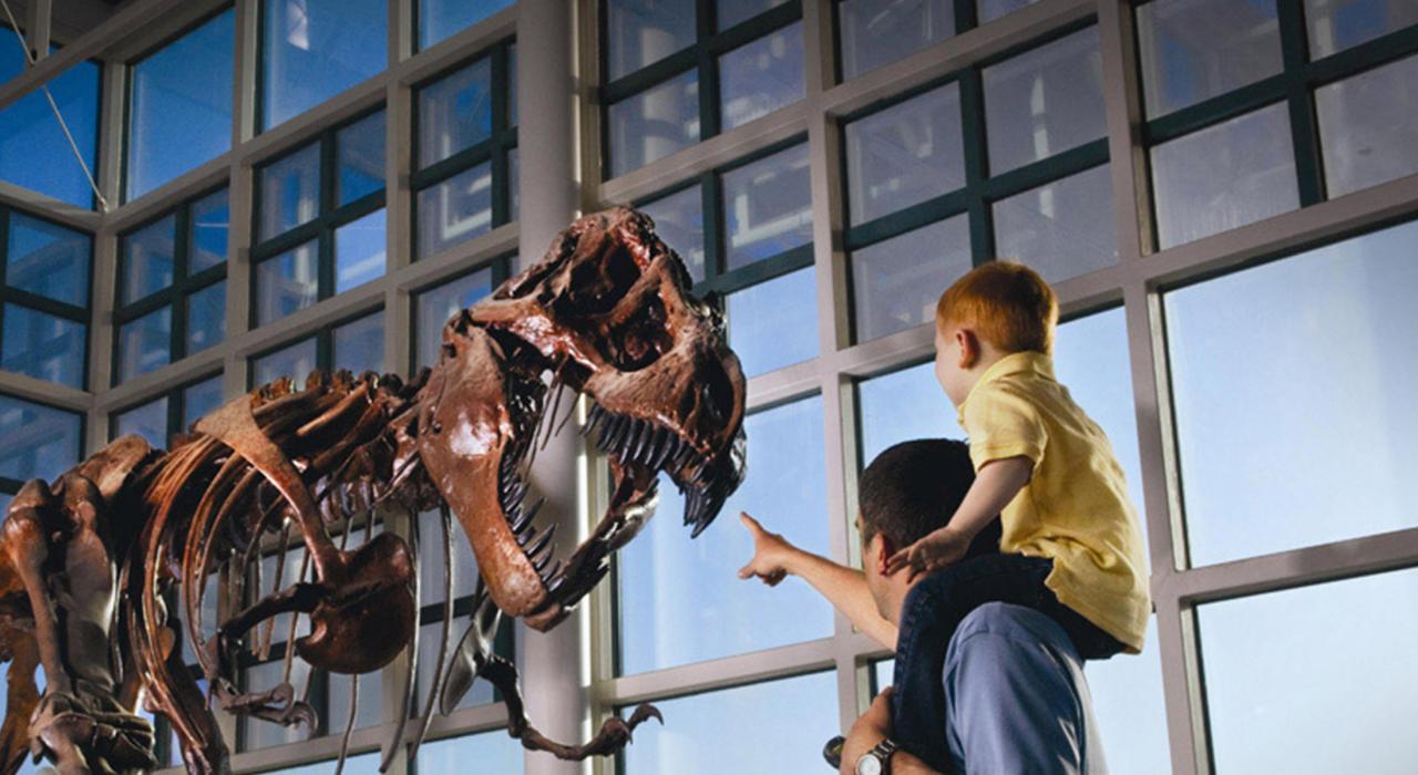 一对父子在西怀俄明州社区学院自然历史博物馆参观恐龙骨架