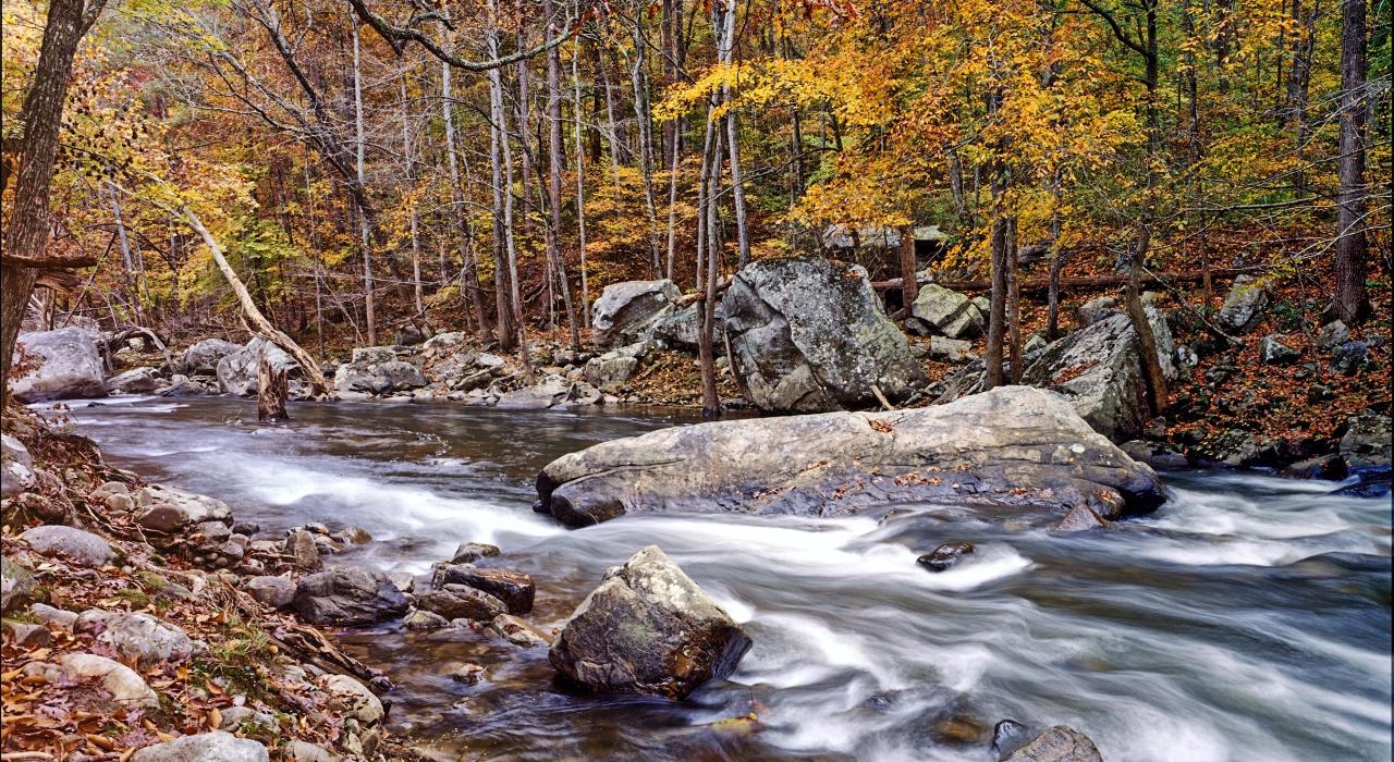El panorámico y tranquilo Bucks Pocket State Park en un día de otoño