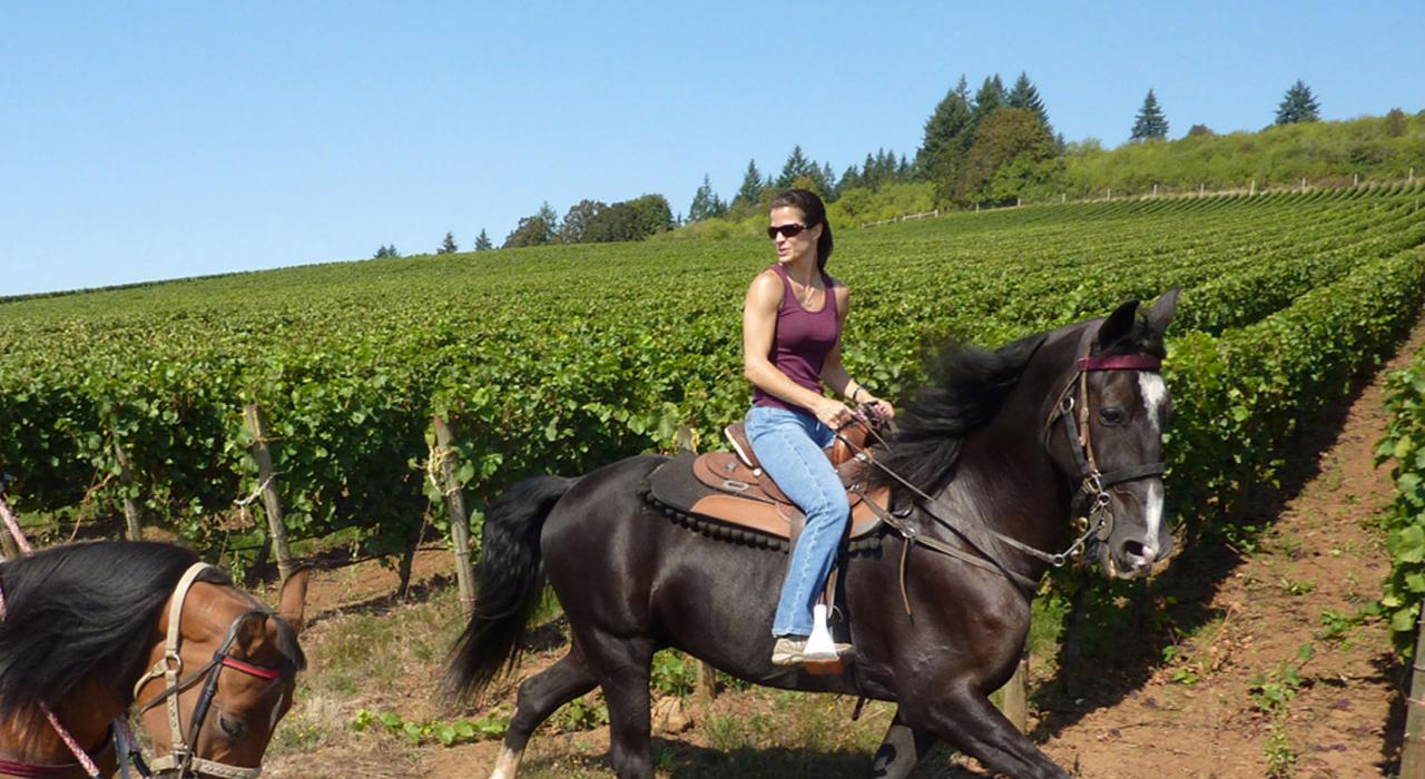 坐在马背上游览威拉米特河谷的酒庄