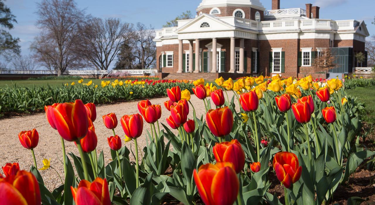 夏洛茨维尔蒙蒂塞洛，托马斯·杰斐逊的故居