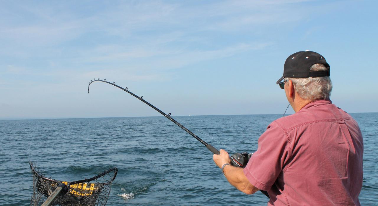 伊利湖垂钓之旅满载而归的新鲜渔获
