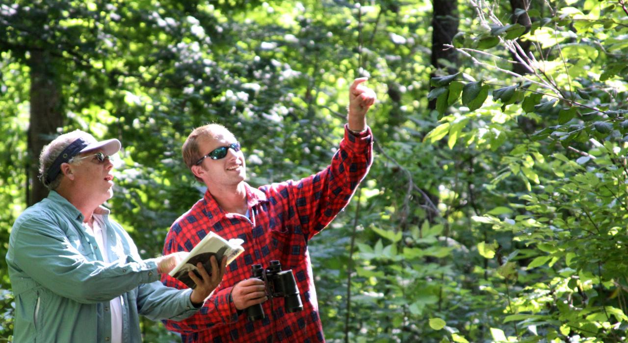 布莱克河沿岸的观鸟远足