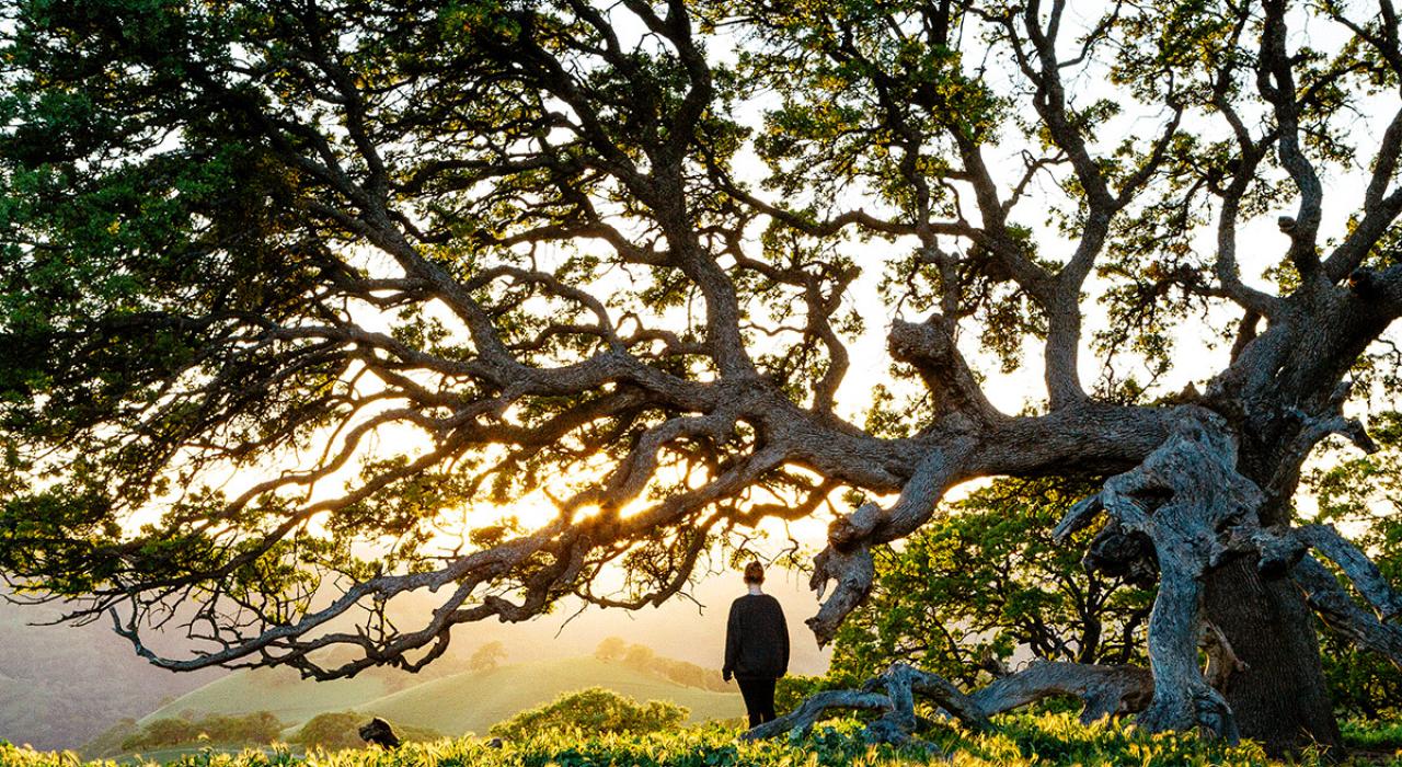 在日落时分花些时间思考