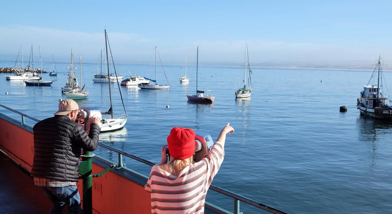在渔人码头蒙特利湾欣赏美景