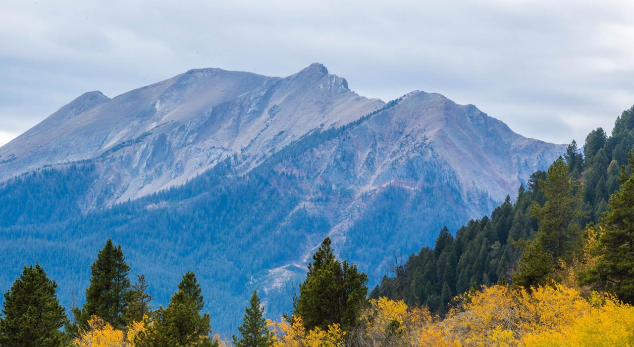 卡斯特加拉廷国家森林 Taylor Fork 区域的秋叶和山色景观
