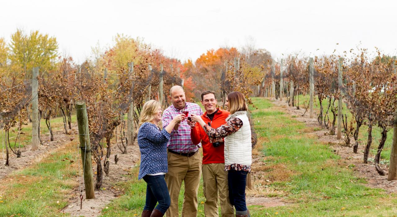 在阿姆斯特朗谷酒厂品尝秋季葡萄酒，这家酒厂是该地区众多精酿啤酒厂之一