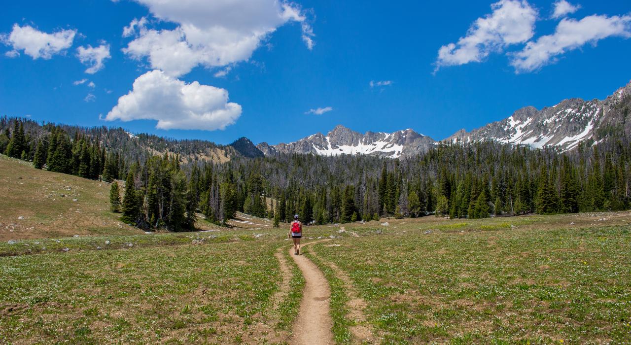 蜂窝盆地的夏日景观