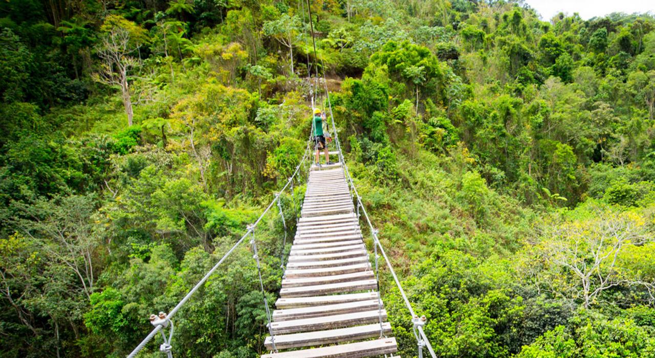 Toro Verde Adventure Park 冒险公园中横亘在树冠上方的一座桥梁