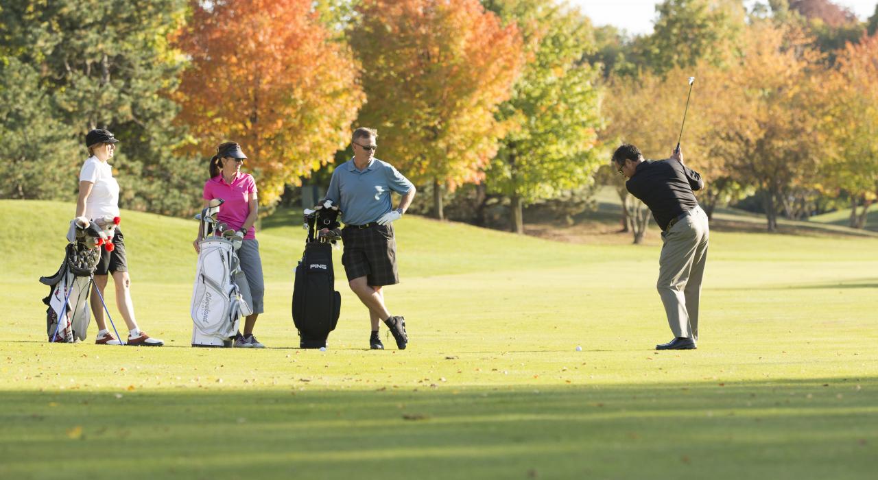 在 Aldeen 高尔夫俱乐部从球道瞄准果岭击球