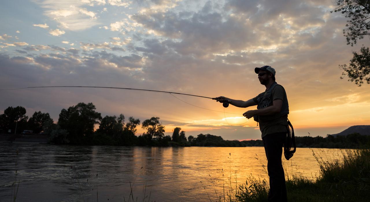 在小溪旁体验飞钓，享受宁静的清晨时光