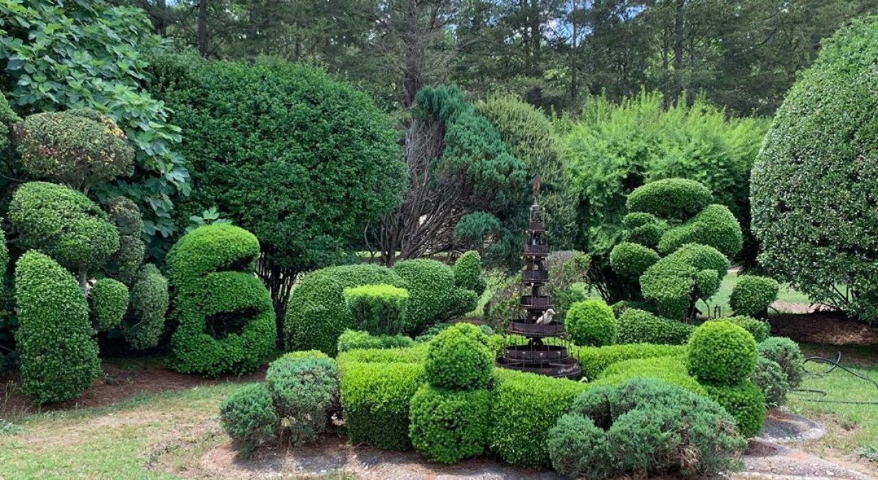 Pearl Fryar’s Topiary Garden