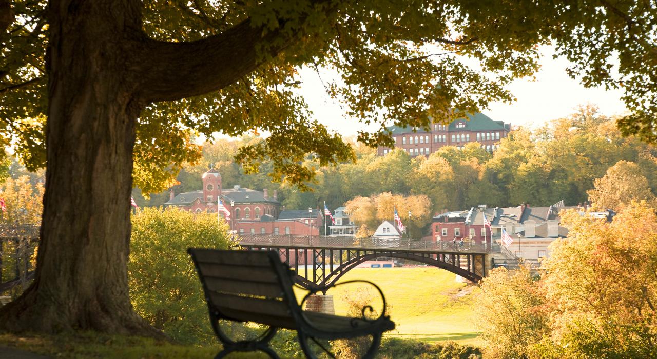 秋日里城中的树叶悄然变色