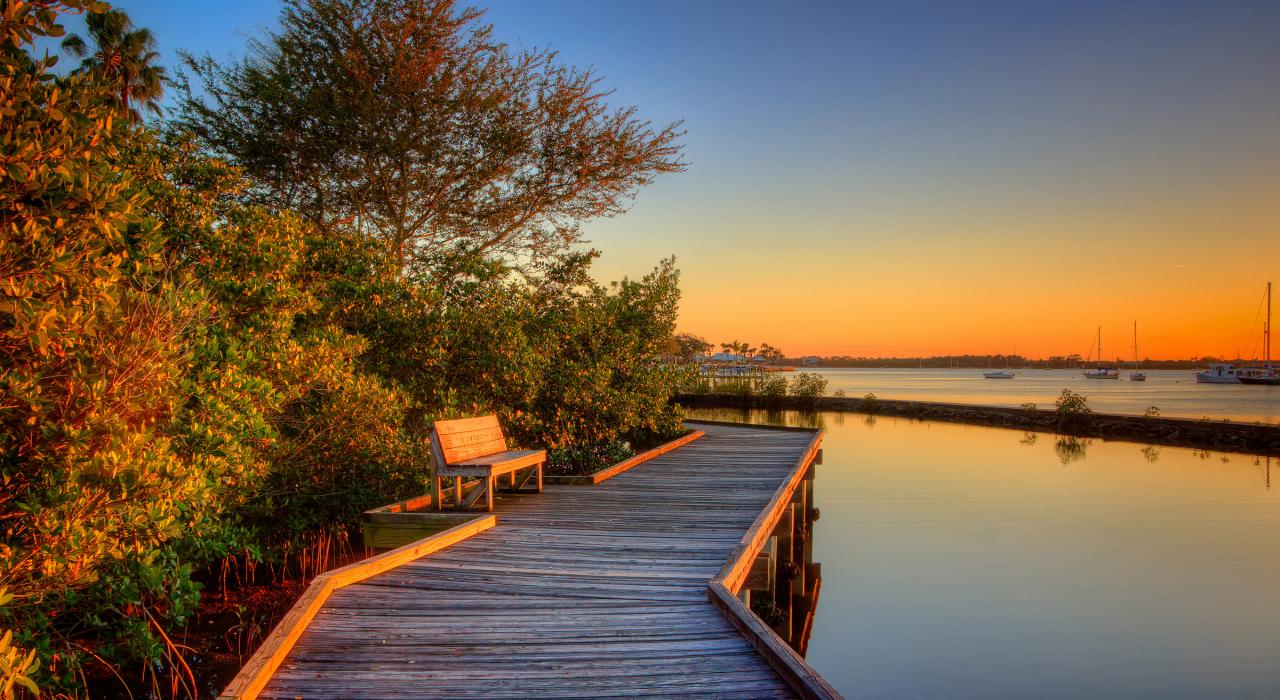 斯图尔特 Shepard Park 公园内的木板路——黄昏散步的理想场所