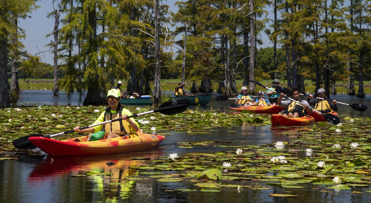 在阿肯色州派恩布拉夫的坎恩溪州立公园体验皮划艇之旅