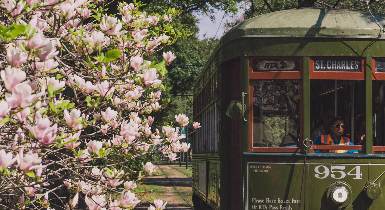 您还可选择查尔斯有轨电车享受春日时光