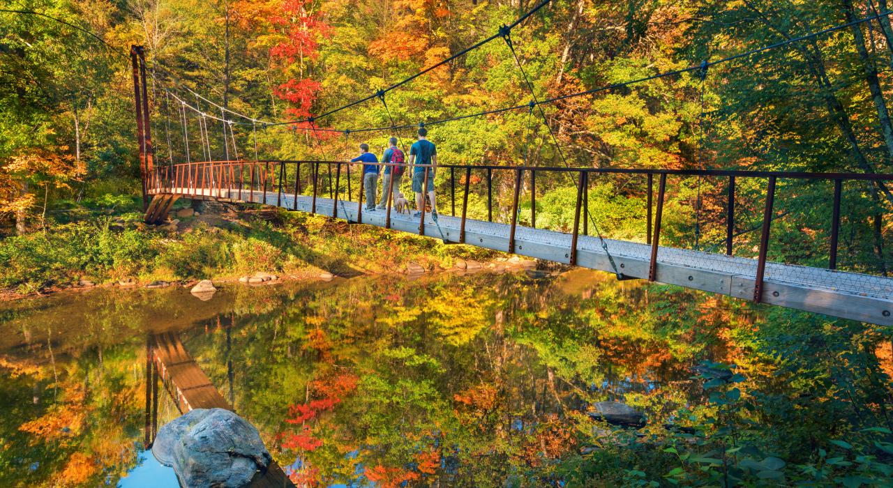 走过康涅狄格州隐谷保护区的索罗桥